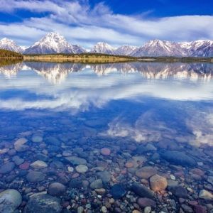 Meet your Posher, Cassidy